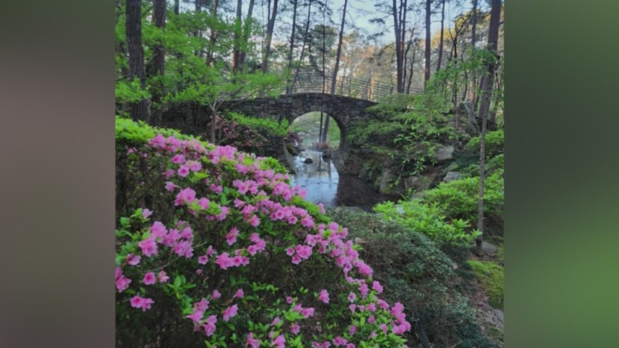 Garvan Woodland Gardens talks preservation & recycling on Earth Day [Video]