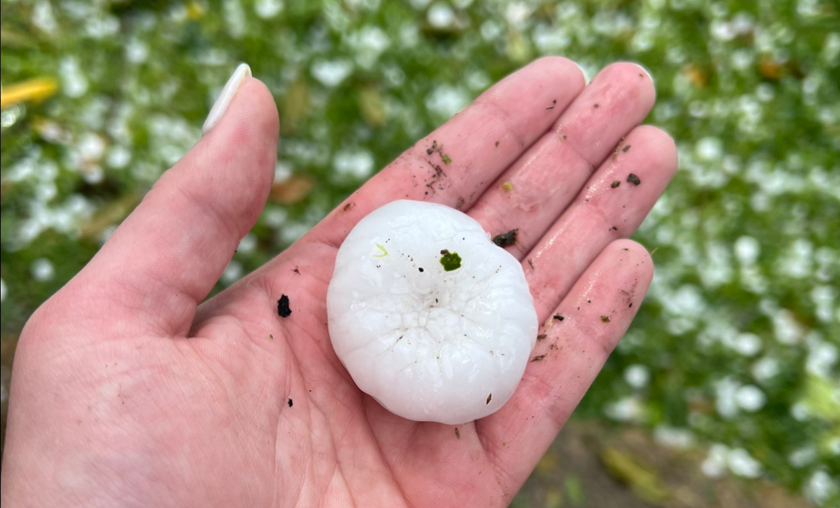 Softball-size hail destroys property in Carolinas during weekend hailstorm [Video]