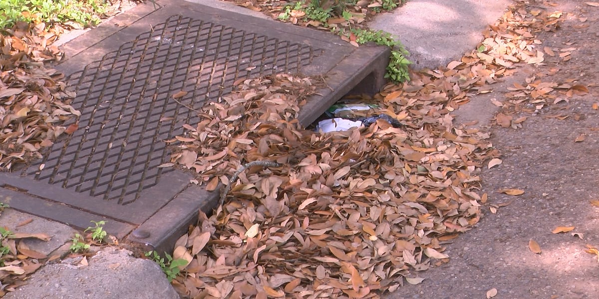 New Orleans increases catch basin cleaning, but challenges remain [Video]