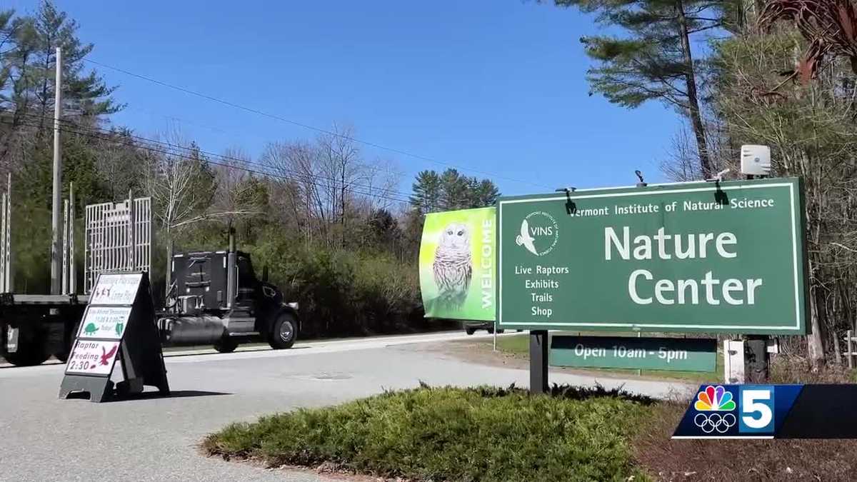 Vermont Institute of Natural Science highlights region’s native species on Earth Day [Video]