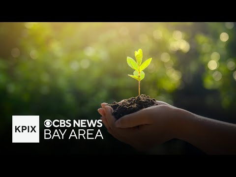 Earth Day Special: Celebrating the Bay Area’s work to limit climate change and protect the Earth [Video]