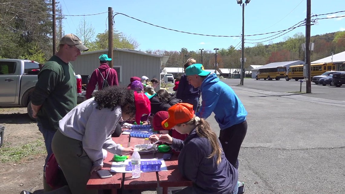 Students release trout in Schuylkill County [Video]