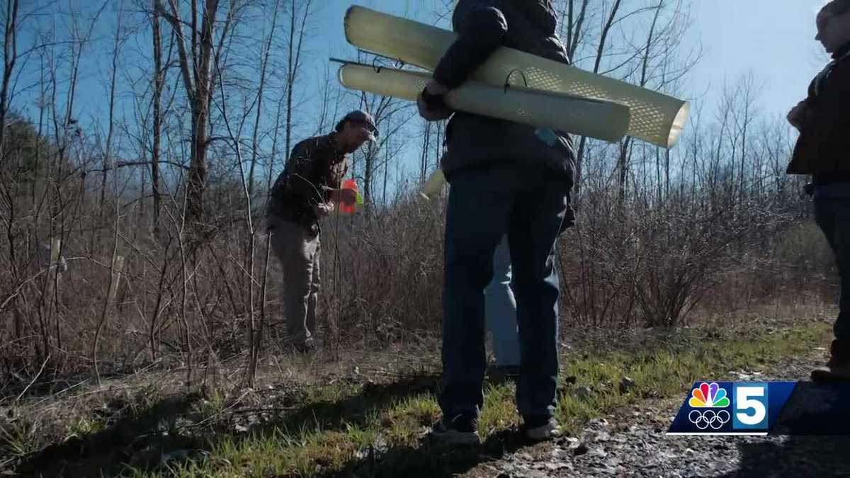 South Hero community helps with forest restoration project on Earth Day [Video]