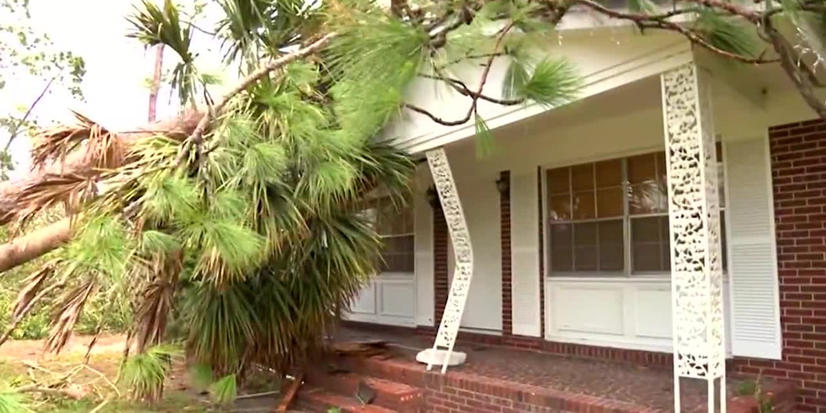 Climate change and natural disasters contribute to skyrocketing home insurance cost, report says [Video]