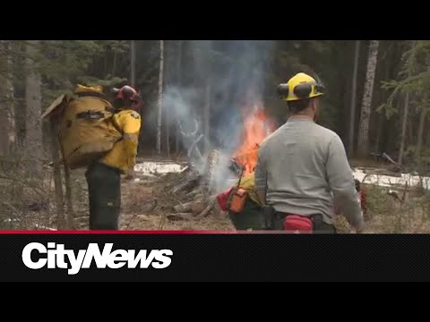 Province provides first weekly update on wildfire situation in Alberta [Video]
