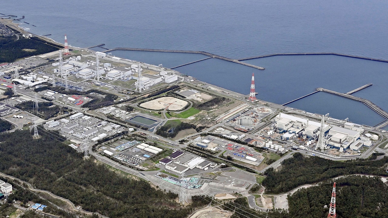 IAEA experts review treated radioactive wastewater from Fukushima nuclear power plant in Japan [Video]
