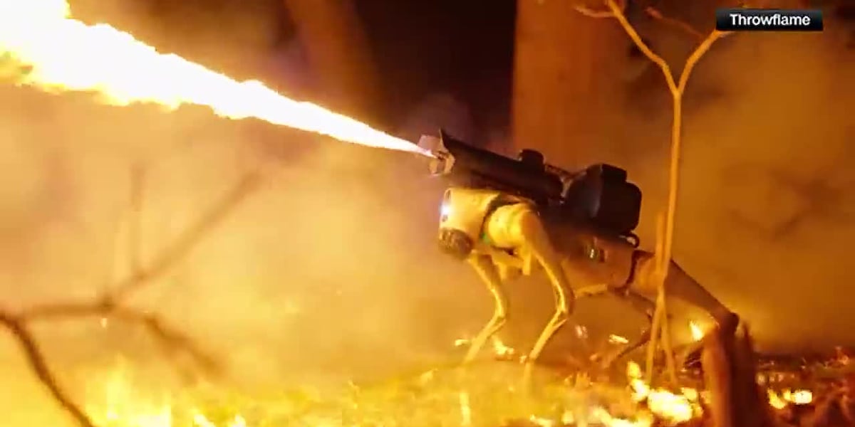 Ohio company launches Thermonator, a flamethrowing robot dog [Video]