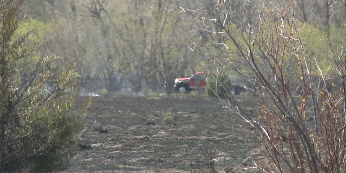 Prescribed burn at Pasley Park helps support native plant life [Video]