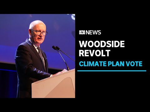 Woodside shareholders reject company’s climate action plan in sign of investor discontent | ABC News [Video]