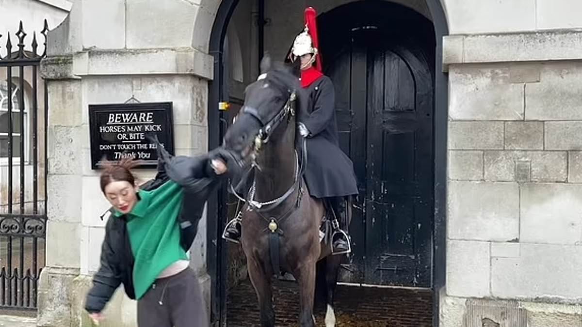 When Household Cavalry horses run wild: From the Platinum Jubilee to the Coronation, how ceremonial steeds haven’t always been able to keep their composure [Video]