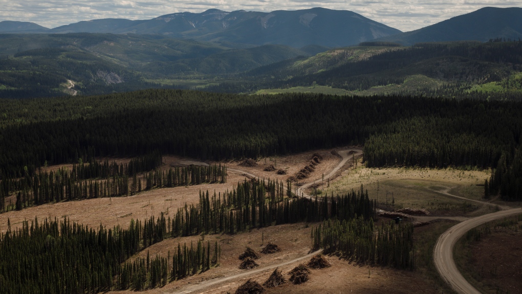 Alberta appeals ruling on coal mining in the Rockies [Video]
