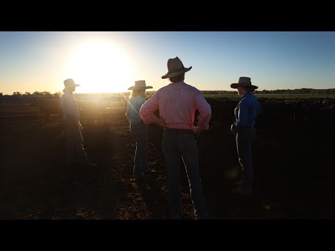 ‘Water is life’: Farmers should be concerned about Qld government’s new plan [Video]