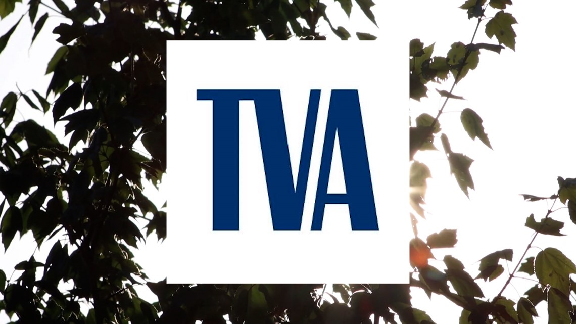 TVA adds new system to manage aquatic plants in Lake Guntersville [Video]