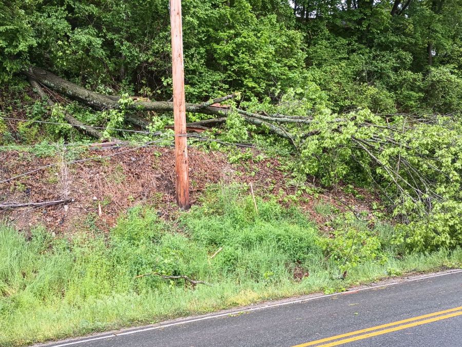 Downed tree takes out entire Missouri towns power [Video]