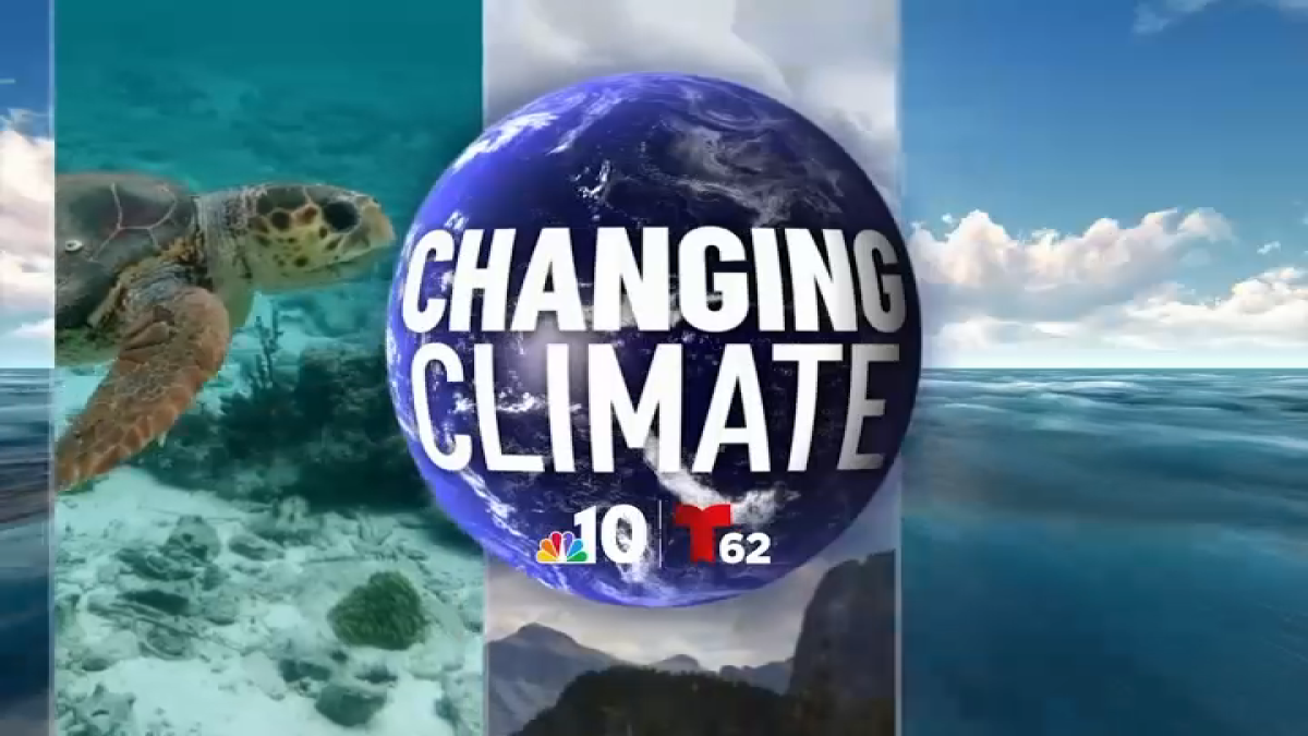 How Philly residents, businesses are combatting climate change  NBC10 Philadelphia [Video]