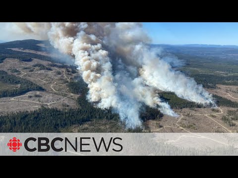 Wildfires prompt evacuation alerts in northern B.C., Alberta [Video]