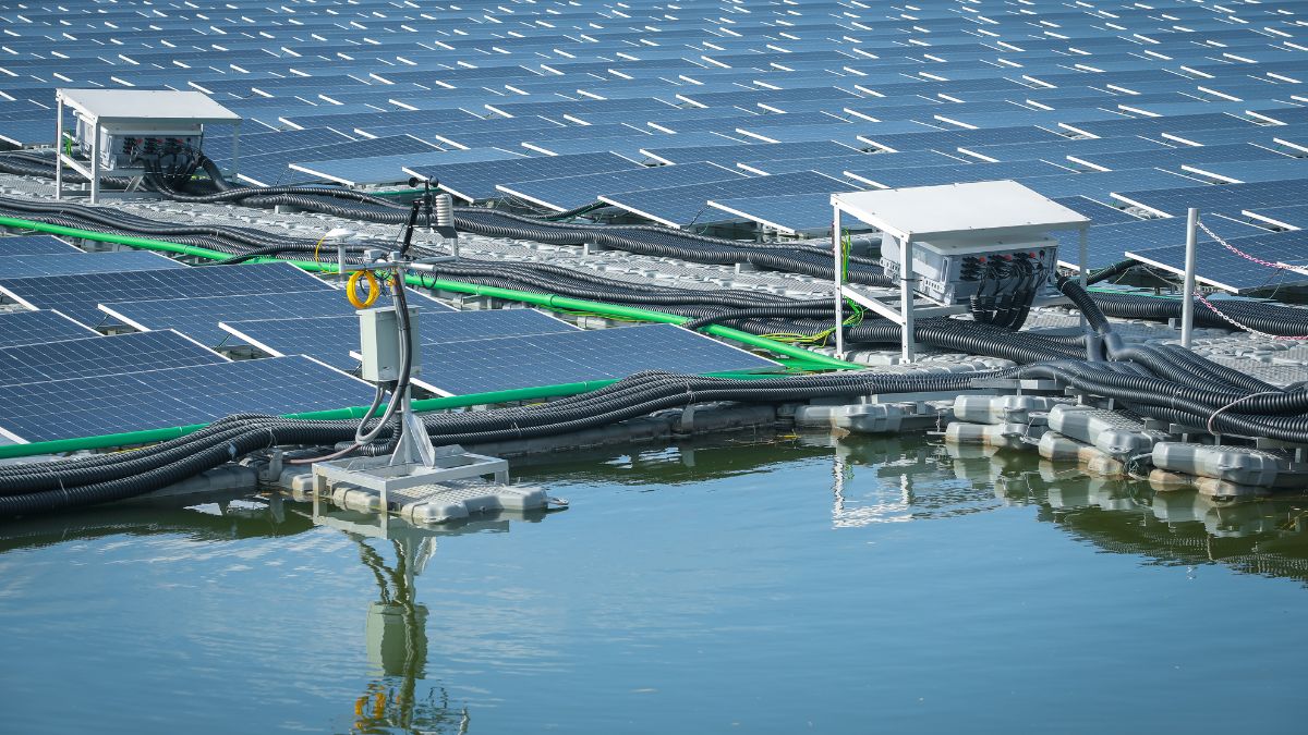Punjab: Portion Of Floating Solar Power Project Washes Away In Lake; PM Modi Inaugurated Plant Last Month [Video]