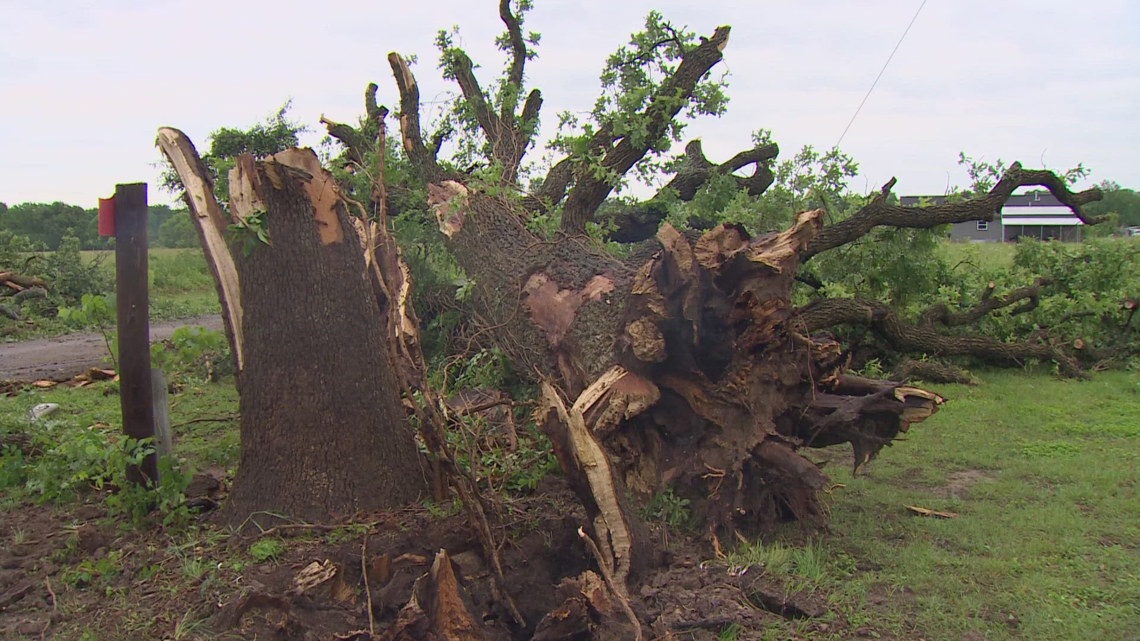At least 6 tornadoes in North Texas from Friday storms: NWS says [Video]