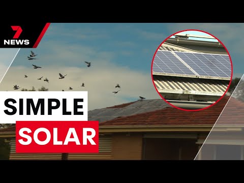 Simple steps to avoid costs associated with damaged solar panels  | 7 News Australia [Video]