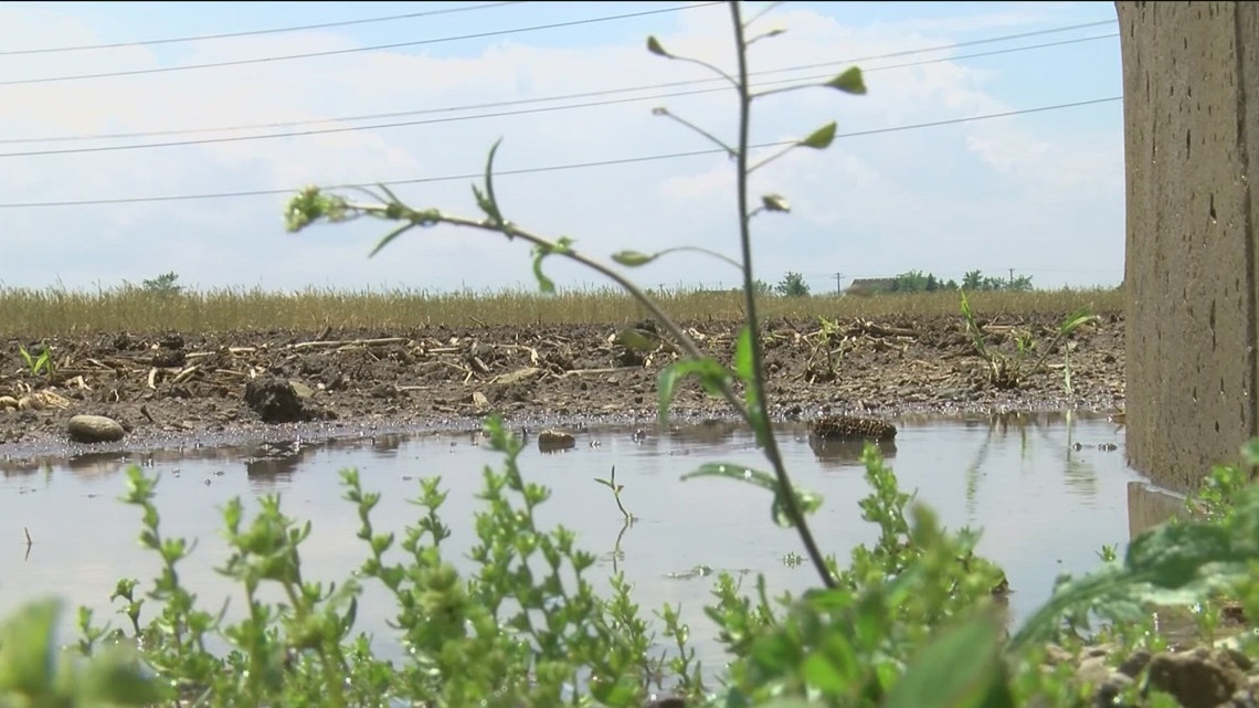 Concern growing for farmers with record rainfall in April [Video]