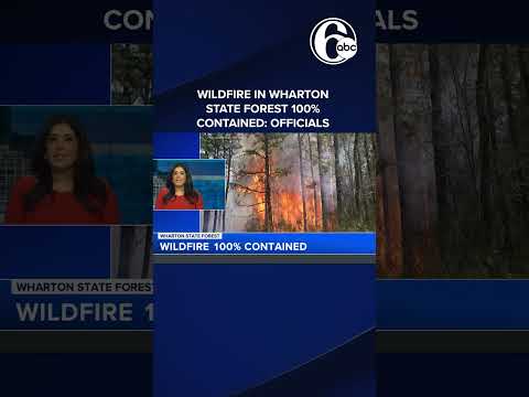 Wildfire in Wharton State Forest between Camden and Burlington counties 100% contained: officials [Video]