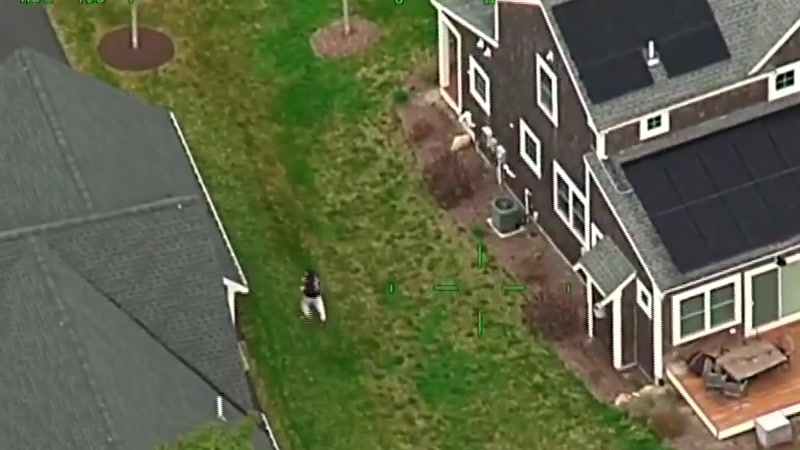 WATCH: MSP Air Wing tracks domestic assault suspect in Plymouth – Boston News, Weather, Sports [Video]