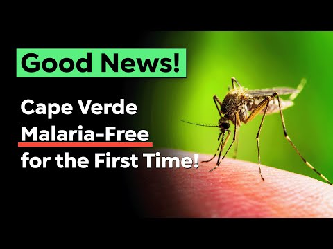 Your Weekly Dose of Good News! – [Video]