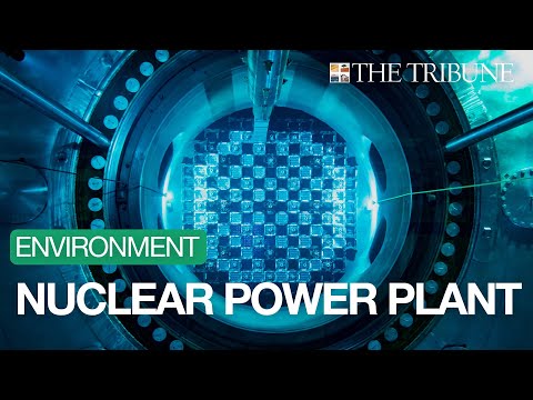 See Inside Diablo Canyon Nuclear Power Plant During Refueling Outage [Video]