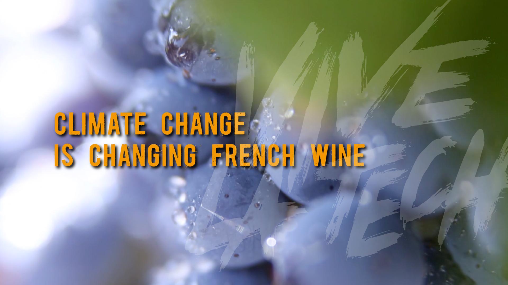 Vive la Tech: Climate change is changing French wine [Video]