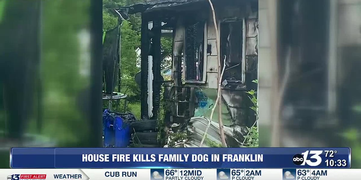 House fire breaks out, kills family pet in Franklin [Video]