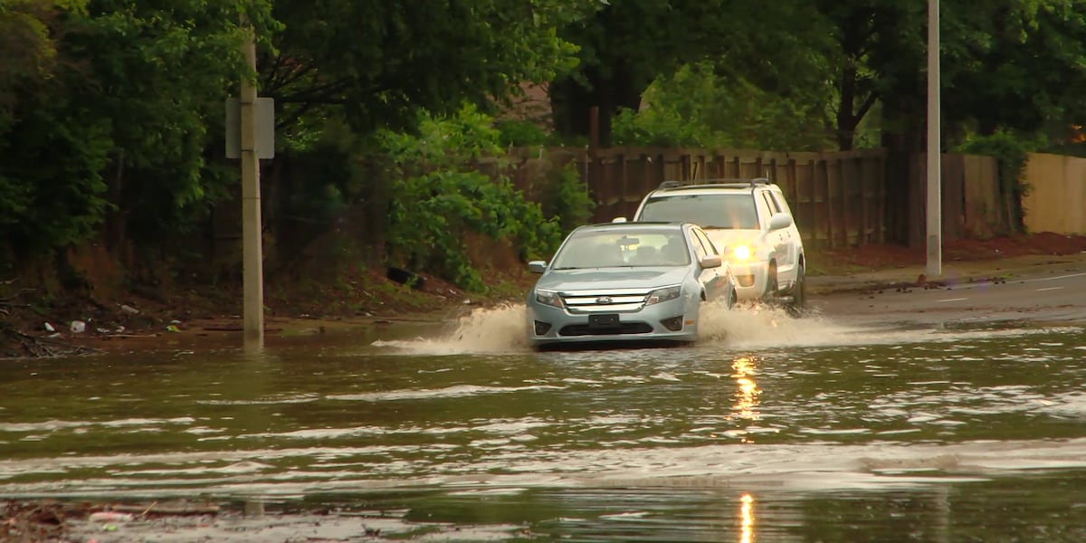 MLGW customers wait for power to be restored after overnight storms [Video]