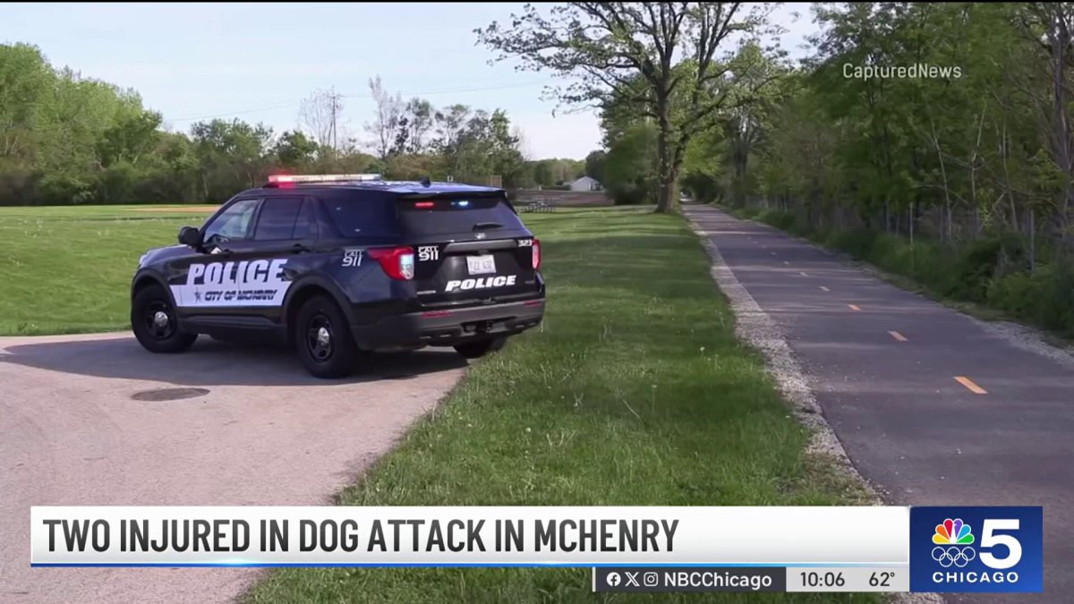 Man charged after woman randomly attacked while walking dog in suburban park: Police  NBC Chicago [Video]