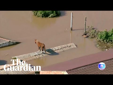 Horse stuck on roof after flooding hits southern Brazil [Video]