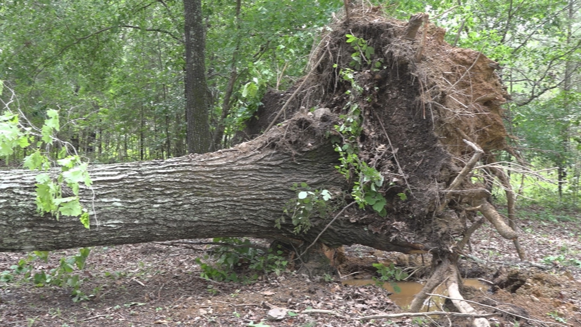 Heavy storms leave midlands residents without power [Video]