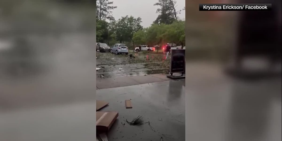 Car dealership damaged by tornado in Tallahassee [Video]
