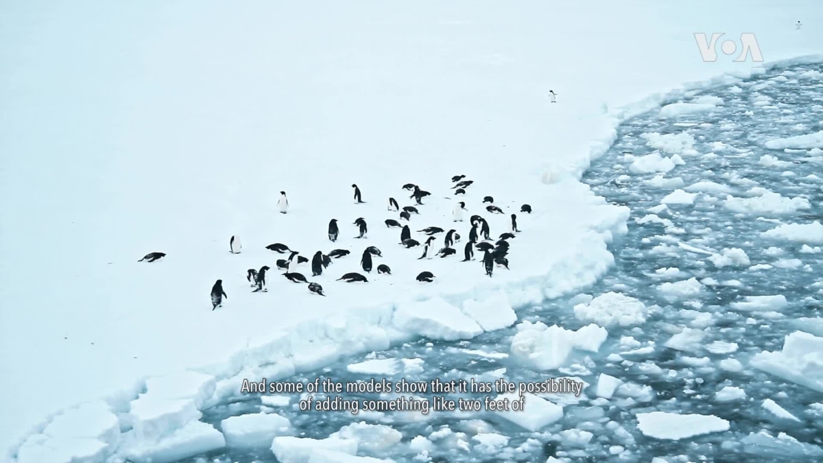 Antarcticas Thwaites Doomsday Glacier [Video]