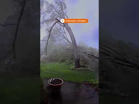 Doorbell camera shows tornado winds downing trees in Michigan | REUTERS [Video]