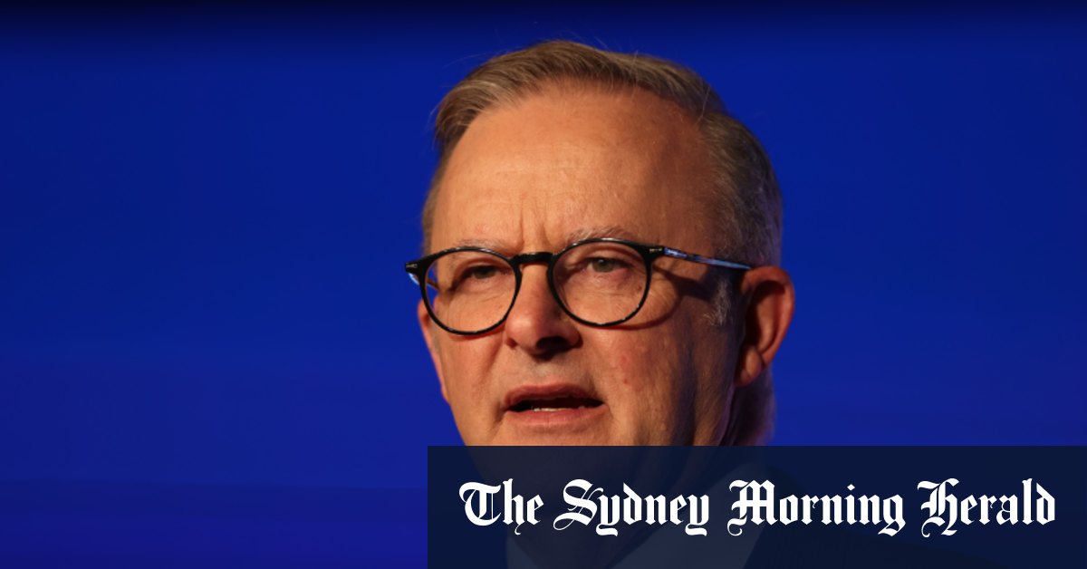 Anthony Albanese plays down gas policy push after blowback [Video]