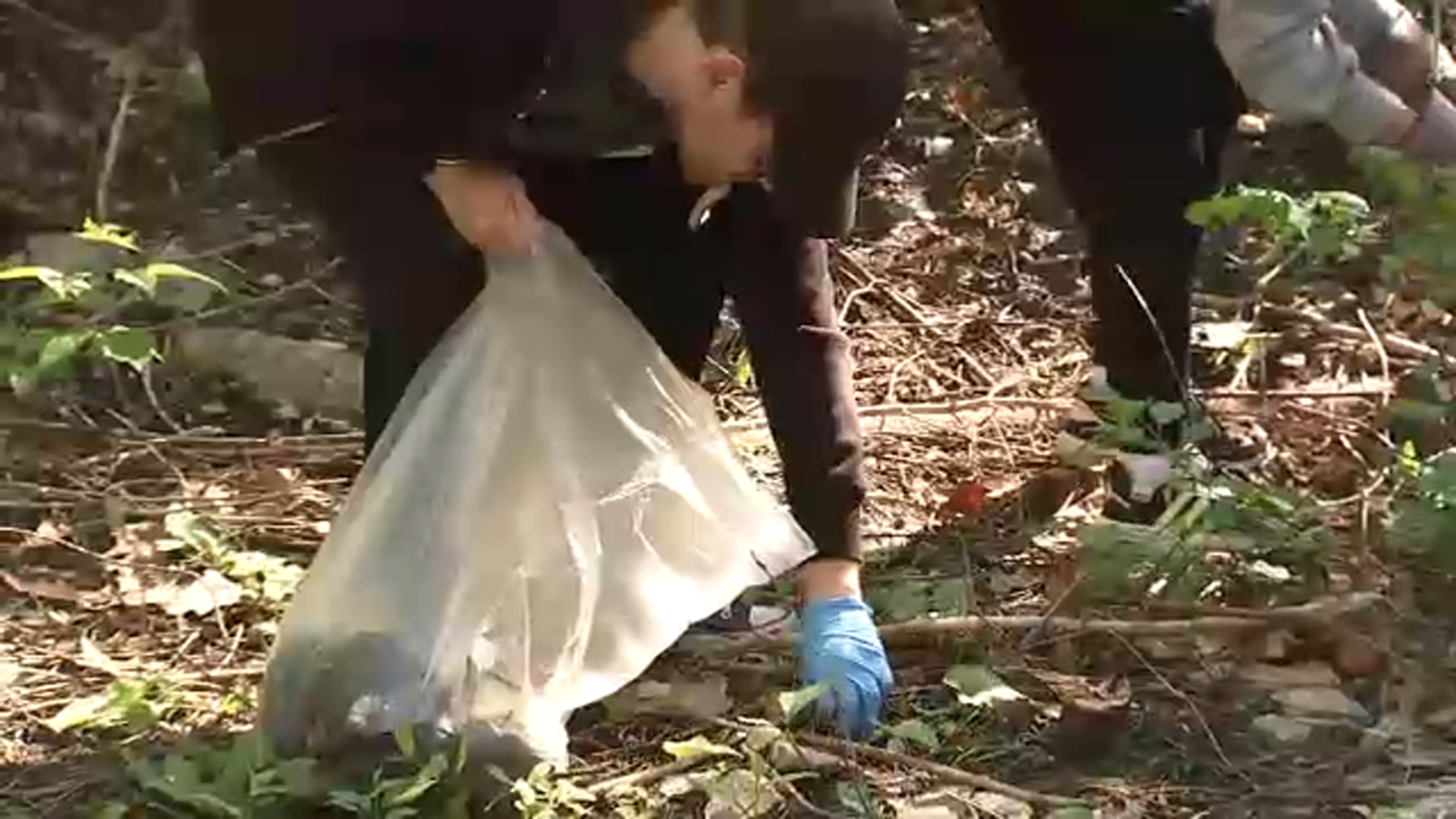 Friends of the Chicago River organize clean-up for 32nd Chicago River Day at Canal Origins Park, other locations across area [Video]