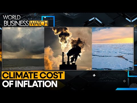 How Climate Change is impacting food bills | World Business Watch | WION [Video]