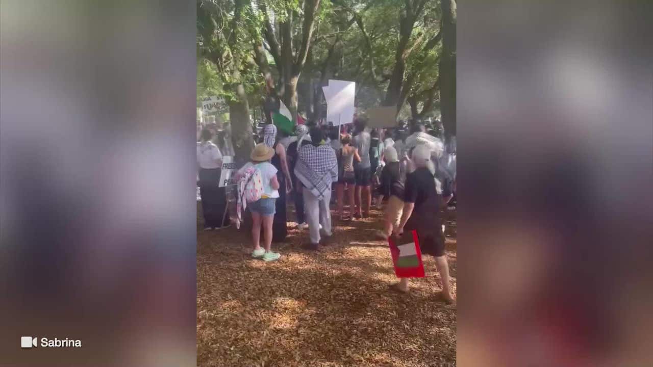 2 arrested at Lake Eola ‘pro-Palestine’ rally: OPD [Video]