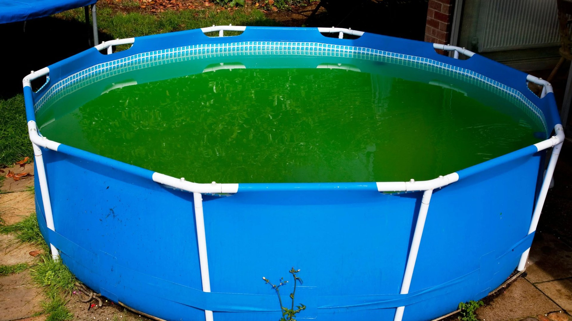 ‘It’s almost like new’ people rave over 1.39 B&M bargain that’ll help get your grubby paddling pool clean in an instant [Video]
