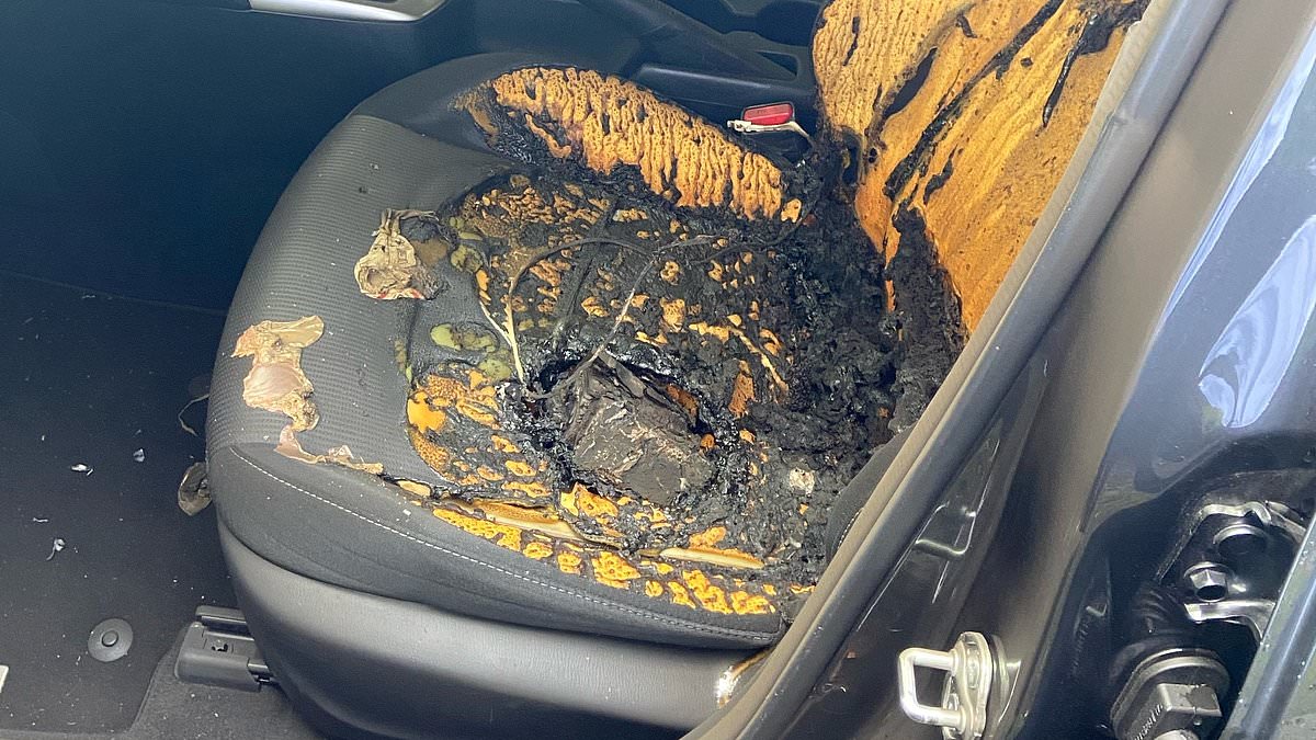 Student’s urgent warning after a mobile charger explodes in his car – and it wasn’t even plugged in [Video]