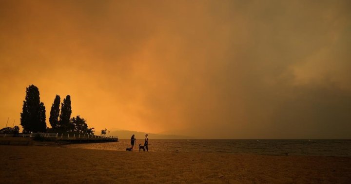 Canada tourism struggling as wildfires rage: The whole country is not on fire [Video]
