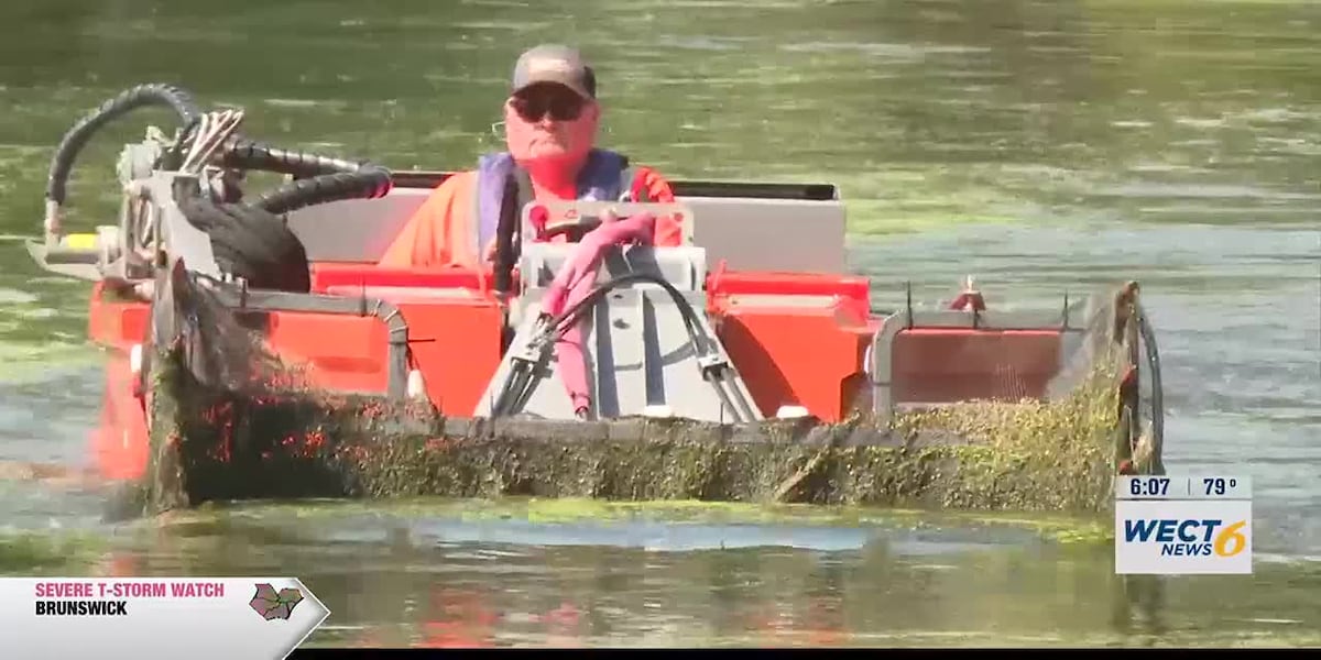 City of Wilmington using specialized boat to clean up algae in Greenfield Lake [Video]