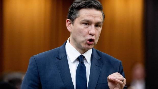Poilievre calls for summer break from federal taxes on fuel [Video]