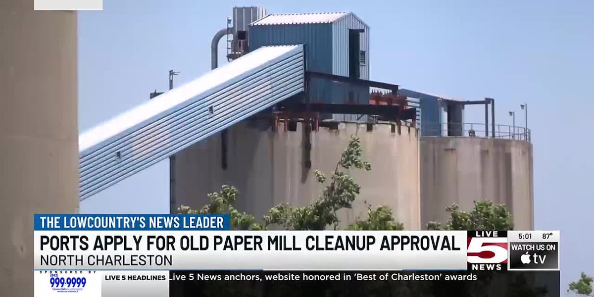 VIDEO: SC Ports applies for agreement to assess environmental status of old paper mill [Video]