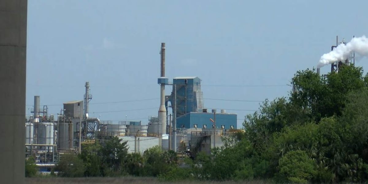 SC Ports applies for agreement to assess environmental status of old paper mill [Video]