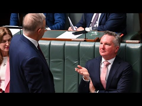 Australia’s ‘energy goals’ won’t be met under Labor’s renewable policy [Video]