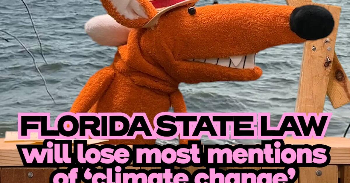 Florida is removing ‘climate change’ from state law [Video]